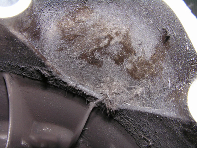 Name:  disc remnants 1.jpg
Views: 595
Size:  151.9 KB