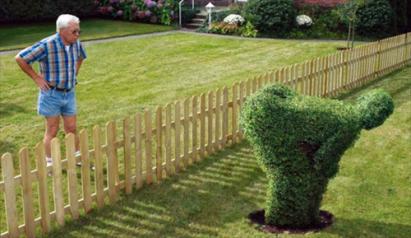 Name:  Angry neighbor.jpg
Views: 537
Size:  21.7 KB