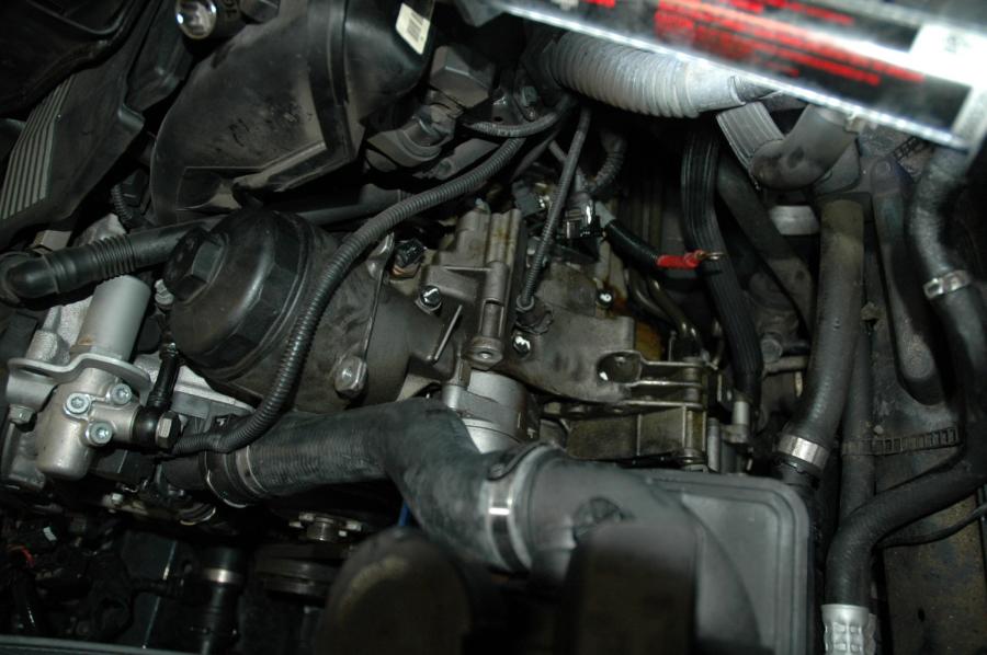 Name:  DSC_3351.jpg
Views: 947
Size:  67.6 KB