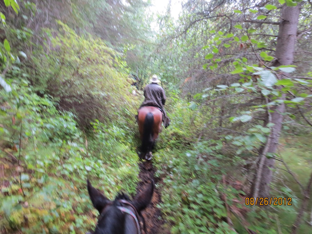 Name:  4IMG_10331.jpg
Views: 384
Size:  281.3 KB