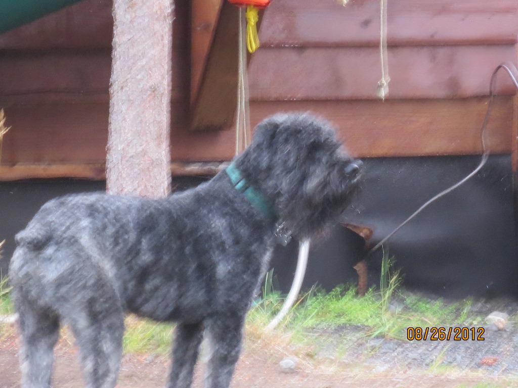 Name:  IMG_1040.jpg
Views: 396
Size:  189.1 KB