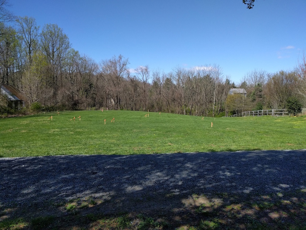 Name:  markedfield3Apr16.jpg
Views: 1157
Size:  349.4 KB