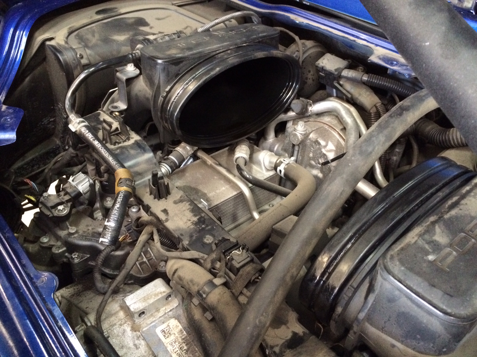 Name:  IMG_2310.JPG
Views: 918
Size:  712.1 KB